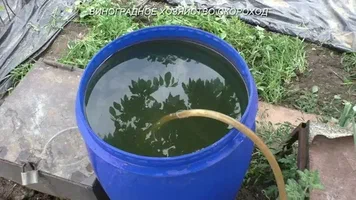 تصویر 4 از راهنمای خرید کود مرغی غنی از نیتروژن و مواد مغذی + قیمت عالی